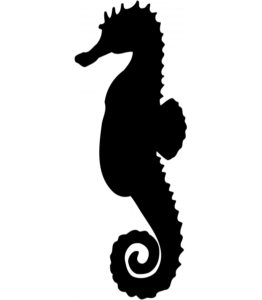Zeepaard3 - Dieren & Natuur